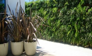 Condomínio Resort - Itajaí/SC