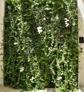 Parede verde - Condomínio residencial