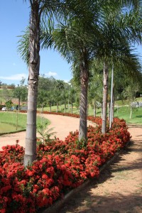 Parque das Águas - Campinas/SP