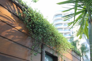 Condomínio Resort - Itajaí/SC